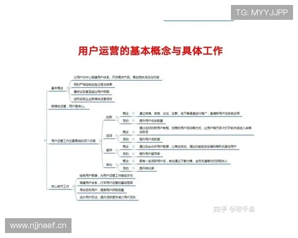 以体育用户画像为核心的精细化内容运营与价值增长研究策略探索路径