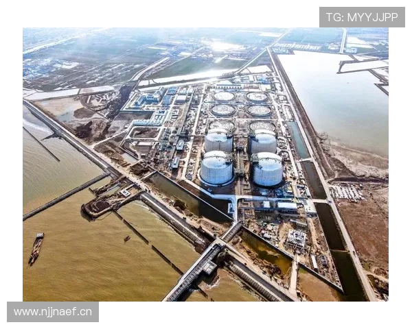 以中长期目标为导向推动高质量发展与系统性能力提升路径战略构建